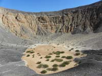 009-water_collects_at_bottom_allowing_vegetation_to_grow