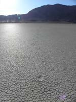 056-footprints-reason_you_don't_walk_on_playa_when_wet