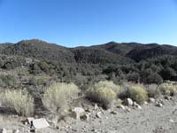102-road_to_South_Pass_over_5,000_feet,but_we_reached_thick_forest_at_7,000-wondering_if_we_are_lost