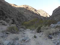 114-lush_oasis_in_desert-very_unexpected-especially_for_first_person_to_stumple_upon_area
