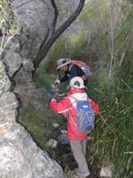116-lots_of_obstacles_though-rock_and_branch_hopping_over_water