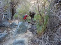 118b-Daddy_helping_Kenny_traverse_downed_trees_to_cross_stream-from_Henry