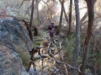 120b-Daddy_helping_Kenny_traverse_downed_trees_to_cross_stream-from_Henry