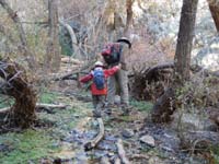 120c-Daddy_helping_Kenny_traverse_downed_trees_to_cross_stream-from_Henry