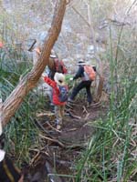 120d-Daddy_helping_Kenny_traverse_downed_trees_to_cross_stream-from_Henry