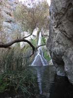 123-Darwin_Fall
