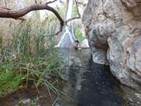 124a-Daddy_waded_in_the_water_to_get_clearer_view_of_fall-from_Henry