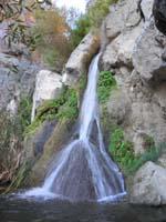 125-Darwin_Fall