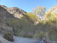 134-looking_back_at_the_lush_terrain