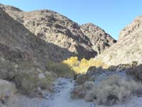 135-looking_back_at_the_lush_terrain