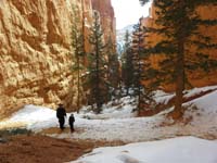 37-Daddy_and_Kenny_walking_slowly_and_complaining-steepest_section