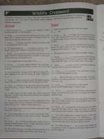 62-Junior_Ranger_Program-Bryce_Canyon_NP06