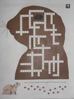 63-Junior_Ranger_Program-Bryce_Canyon_NP07