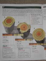 64-Junior_Ranger_Program-Bryce_Canyon_NP08