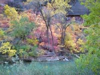 79-amazing_colors