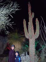 28-Mommy_and_Kenny_at_Springs_Preserve-Christmas_lights_on_a_Saguaro