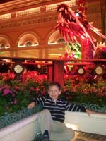 16-Kenny_at_Bellagio_Conservatory