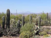 003-views_from_Visitor_Center_parking_lot