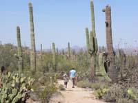020-Kenny_Mommy_walking_with_pretty_desert_scenery_on_the_Valley_View_Overlook_Trail_on_Hohokam_Rd_dirt_road
