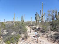 021-Kenny_and_Mommy_walking_with_pretty_desert_scenery