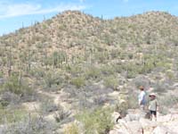 043-Mommy_and_Kenny_admire_the_saguaro_ladden_slopes