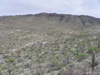 045-drove_1.5_hours_to_Saguaro_NP_East-not_worth_the_drive-should_have_stayed_at_West