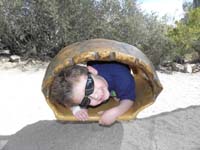 092-Kenny_barely_fits_in_the_tortoise_shell