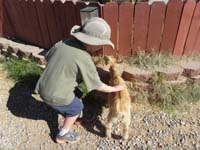 01-petting_a_baby_goat_that_jumped_the_fence_for_its_pen