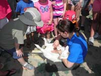 21-Kenny_gets_to_see_the_pouch_of_a_female_albino_kangaroo