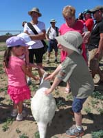 23-Kenny_gets_to_pet_a_kangaroo_while_Baba_and_Poppy_watch
