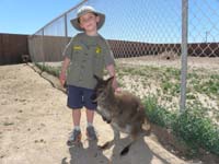 26-Kenny_and_a_kangaroo-uh_oh-look_at_the_kangaroo_in_the_corner_charging-we_got_out_of_the_way
