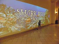 05-making_a_wave_at_the_Mandalay_Bay_Shark_Reef_Aquarium_display