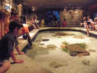 10-Kenny_admires_the_stingray_exhibit