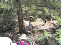 26-hiking_back_through_lush_area_by_Ponderosa_Pine