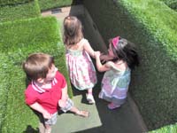 54-kids_having_fun-uh_oh_Leyna_pulling_Brooke's_hair