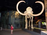 29-Kenny_actually_identified_the_'Woolly_Mammoth'-close,but_actually_Columbian_Mammoth