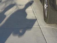 09-this_is_what_we_get_to_see_on_the_sidewalk
