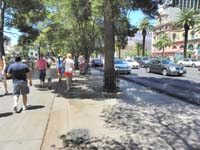 17-Mommy_Kenny_Grammy_walking_with_Miss_Kitty_street_performer
