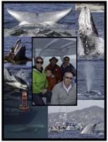 40-family_on_Dolphin_Safari