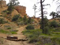 07-first_campsite_we_picked-camper_wouldn't_fit-Kenny_explored-canyon_just_over_rise_to_right