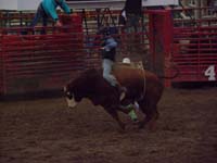 45-teenager_cowboy_riding_a_bull_for_first_time-rode_for_8_seconds
