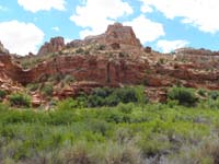 03-pretty_scenery-very_lush_area_due_to_natural_spring