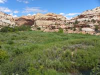 09-pretty_scenery-I'm_amazed_how_lush