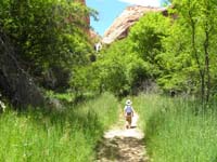 14-Kenny_hiking_through_tall_grass_with_waterfall_ahead