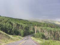 47-pretty_forested_scenery_at_9500_feet-53_degree-rain_in_area