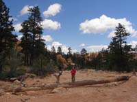 22-Kenny_on_log_in_that_major_drainage