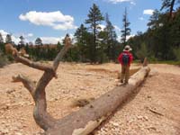 25-Kenny_balancing_on_the_log