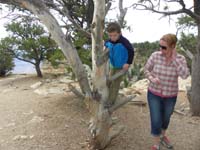 36-Kenny_found_a_tree_to_climb