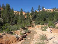 04-Mommy_and_Kenny_with_pretty_scenery-Mossy_Cave_straight_ahead