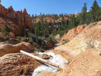 09-view_looking_downstream_from_top_of_waterfall